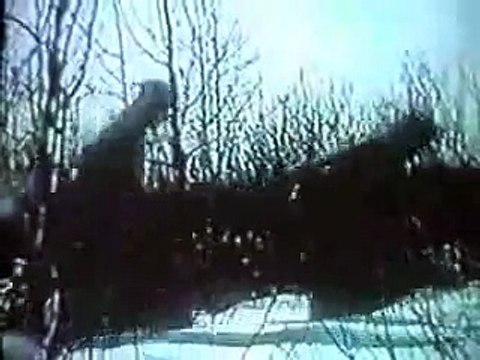 latvian Waffen SS legion battles at Ostrova (Russia) 1944 Ge