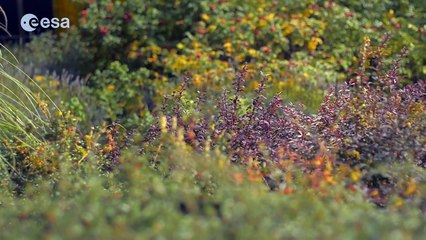 Friendly little robot