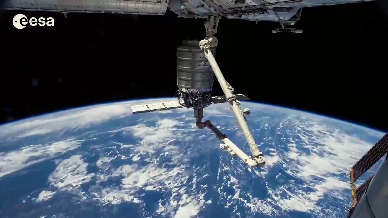 Releasing Cygnus (timelapse)