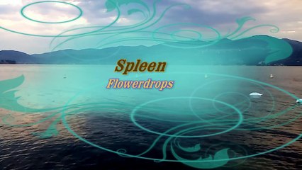 Ispra (Lake Maggiore). Music by Spleen - Flowerdrops
