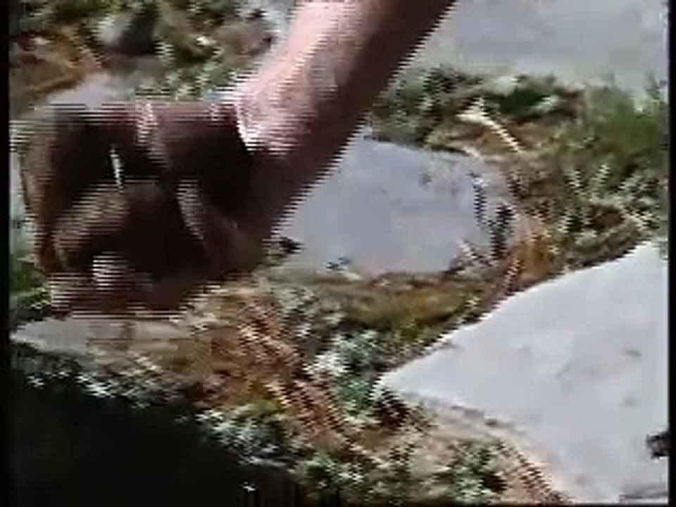 Helmut Lotti - He ain't heavy, he's my brother 2006