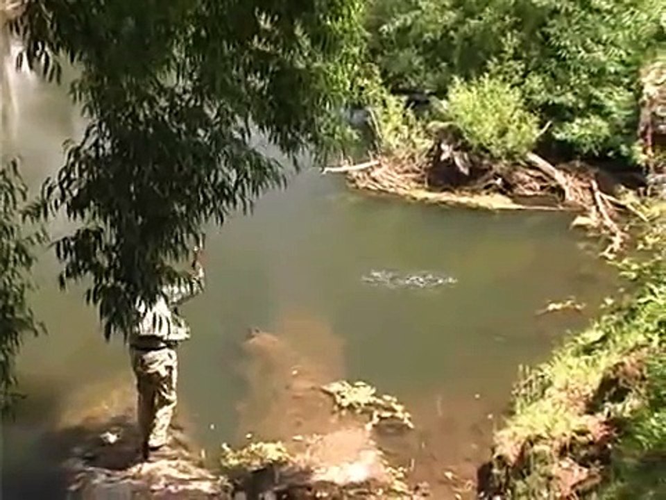 Fly Fishing The Goulburn Valley