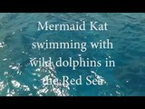 Professional mermaid Kat swimming underwater with wild dolphins