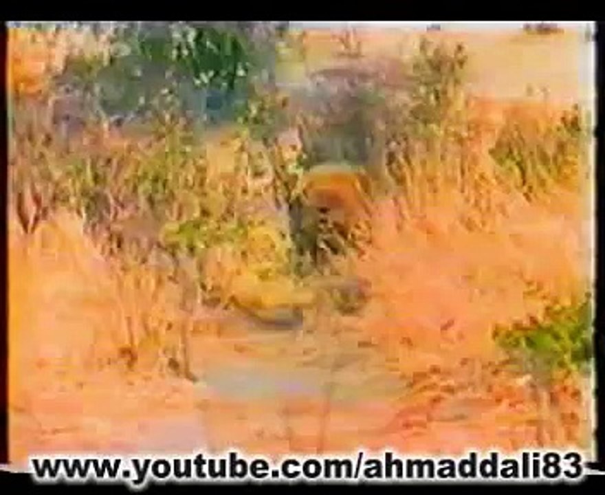 الافتراس-5
