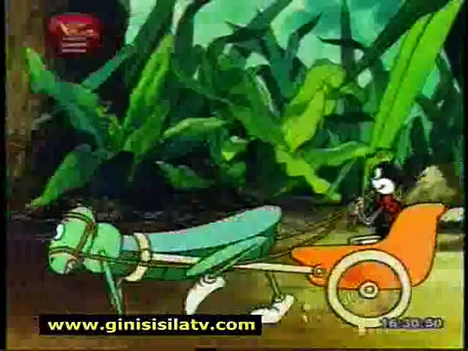 Kumbichchi-10