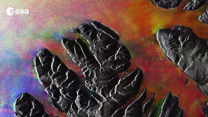 Earth from Space: Christmas tree fjords