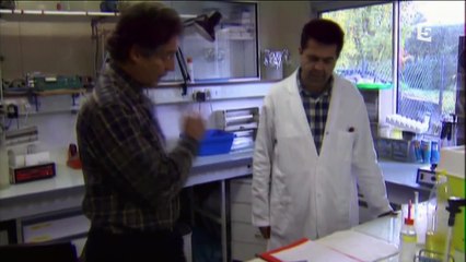 Doc : On a retrouvé la mémoire de l'eau (France 5 - L'empire des sciences)