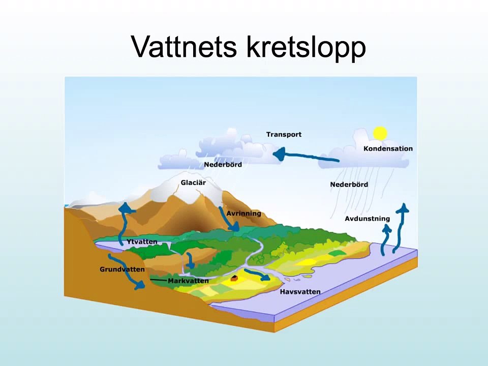 Ekologi, 3 kretslopp