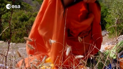 CAVES 2013: Learning to explore