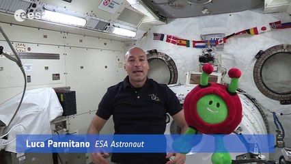 Surprise guest on the International Space Station