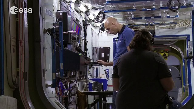 Plumbers, engineers, cooks and scientists