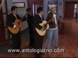 Antologia Trio - Serenata Telenovela Vecinos - Bogotá Colombia - Serenatas 24 Horas