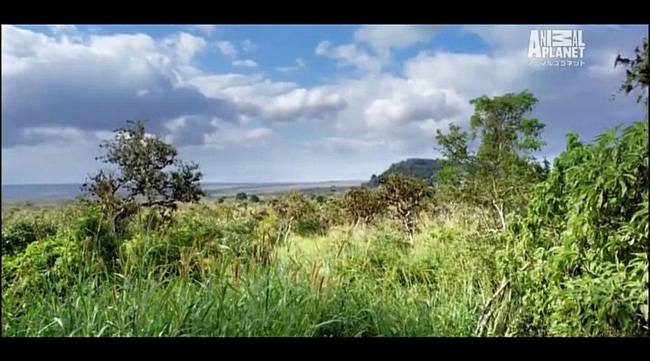 ガラバゴス諸島　2