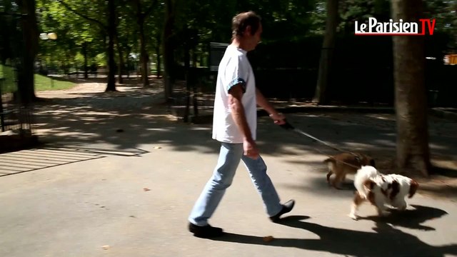 Paris: quelqu'un en veut-il aux chiens du Parc Brassens ?