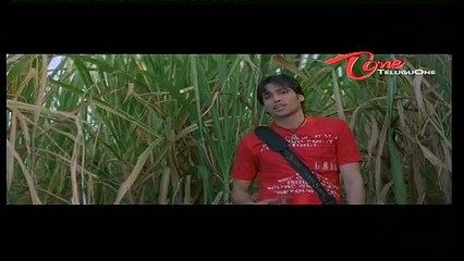 Semi Nude Mallika Sherawat Fell In Mud