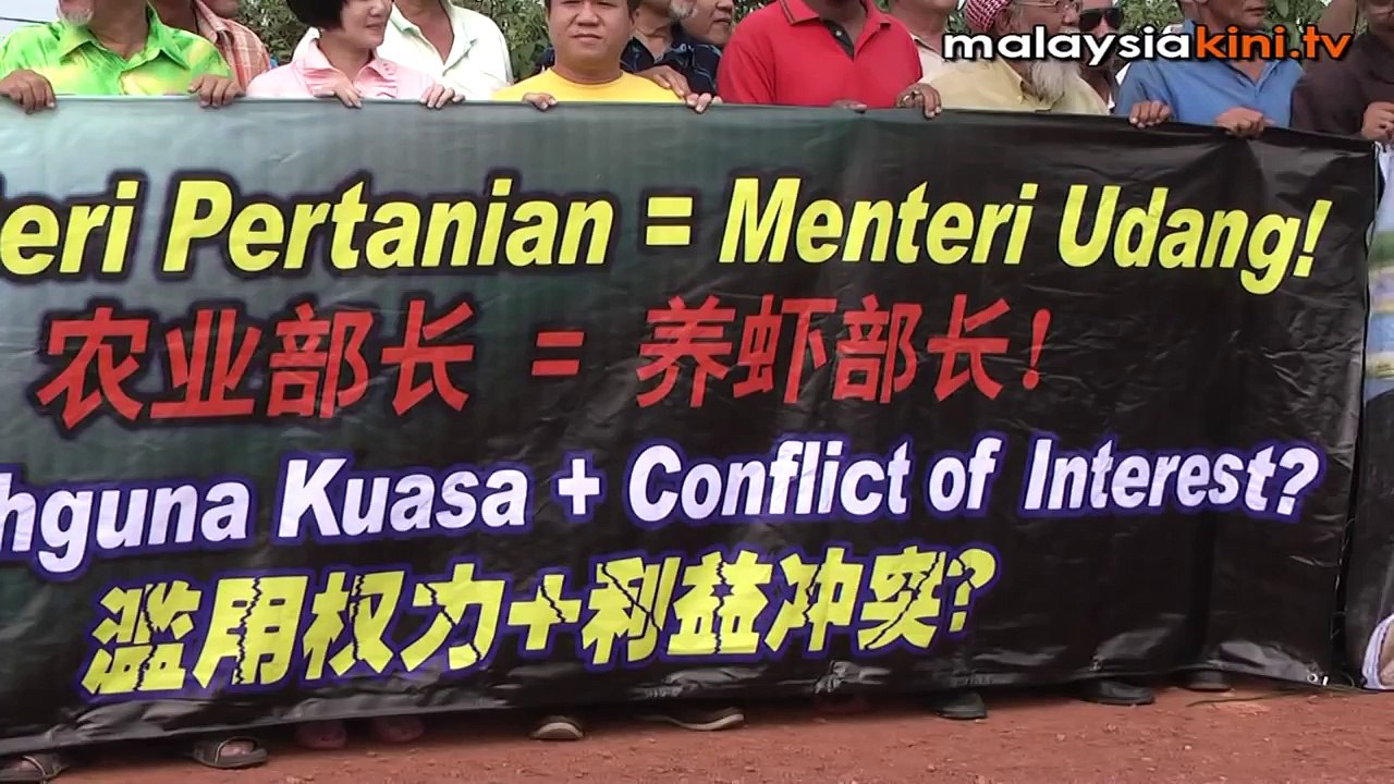 Noh Omar 'not mere landlord' of prawn farm, says DAP rep