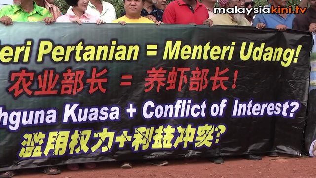 Noh Omar 'not mere landlord' of prawn farm, says DAP rep