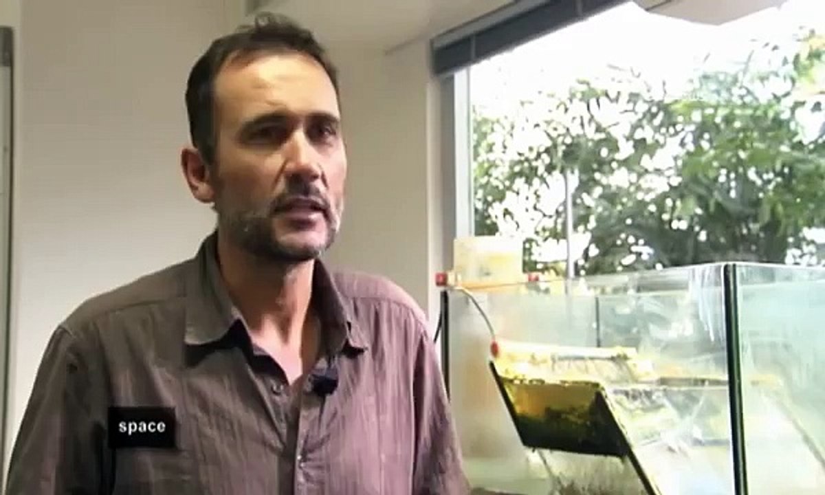 ESA Euronews: Desentrañando los misterios de la vida