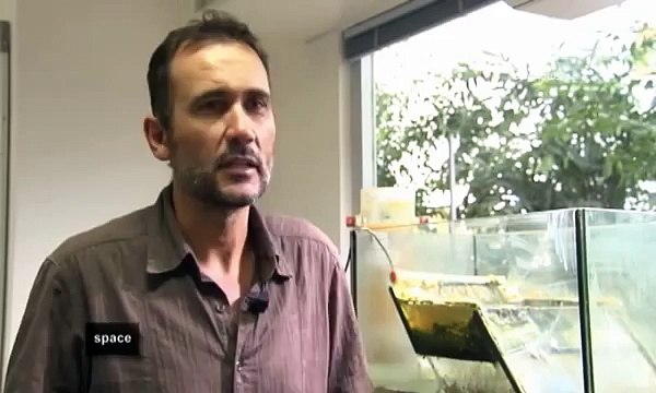 ESA Euronews: Auf der Suche nach dem Ursprung des Lebens