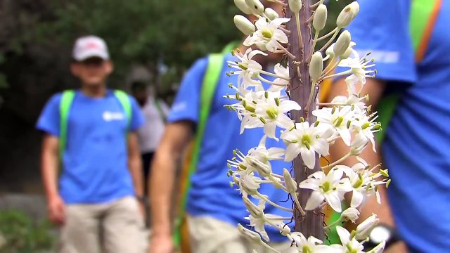 CAVES 2011 compilation