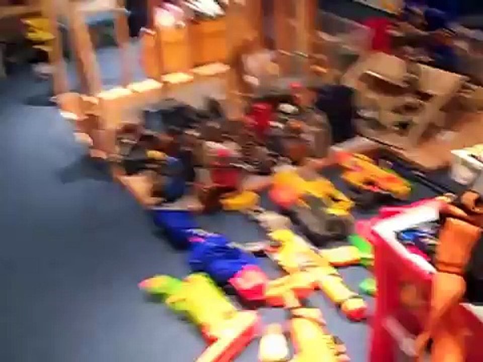 Nerf and Buzz Bee Gun Collection 2013