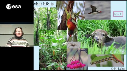 Most simple (early) life forms