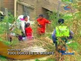 Junín: Matan a 6 vicuñas en el zoológico municipal de Huancayo