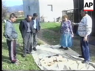 BOSNIA: KALESIJA: COW GIVES BIRTH TO DEFORMED CALF