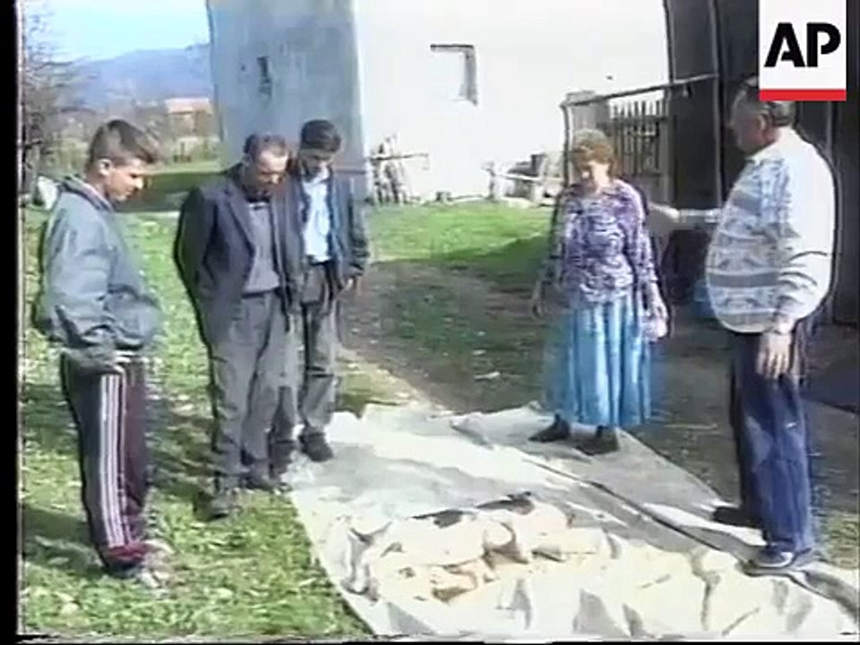 BOSNIA: KALESIJA: COW GIVES BIRTH TO DEFORMED CALF
