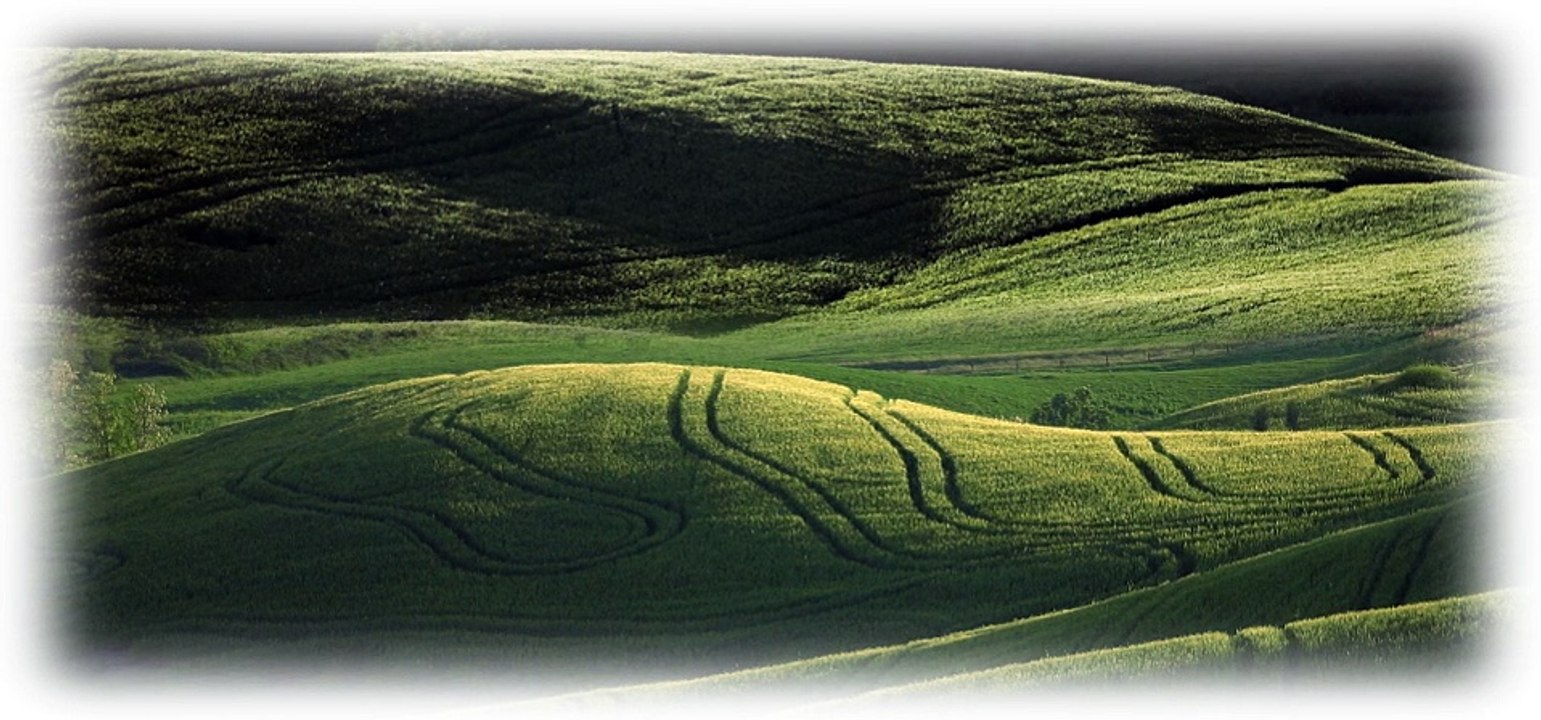 terre di siena