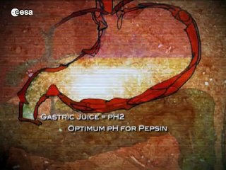 Feeding our future - nutrition on Earth and in space (Deutsch)