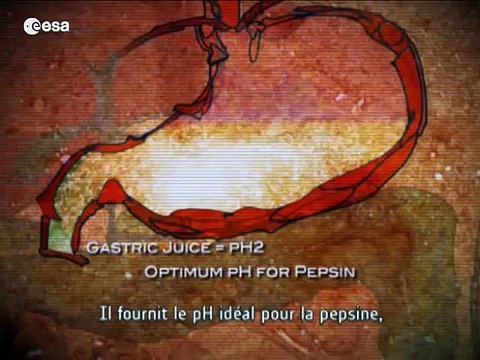 Feeding our future - nutrition on Earth and in space (Français)