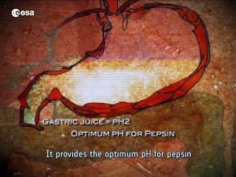 Feeding our future - nutrition on Earth and in space