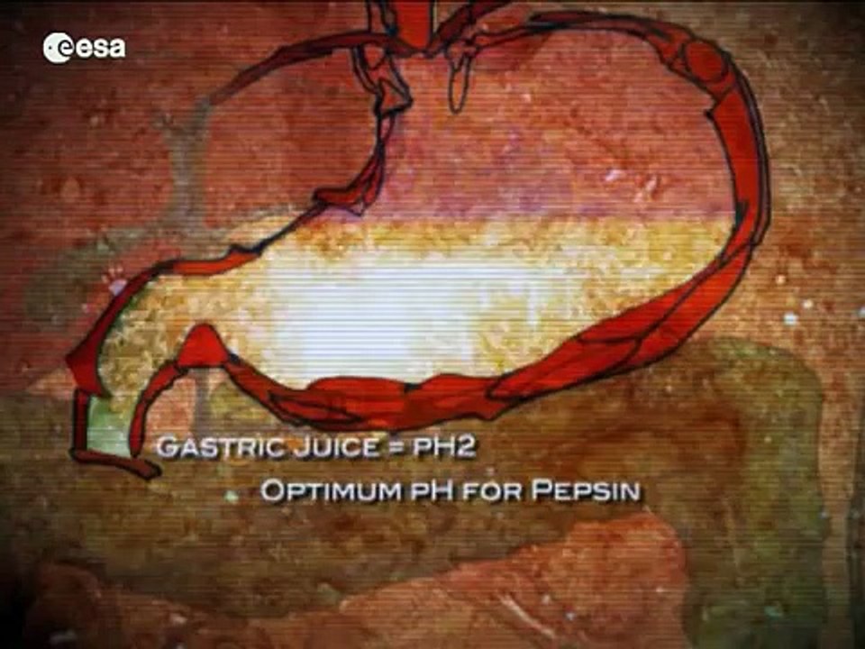 Feeding our future - nutrition on Earth and in space (Svenska)