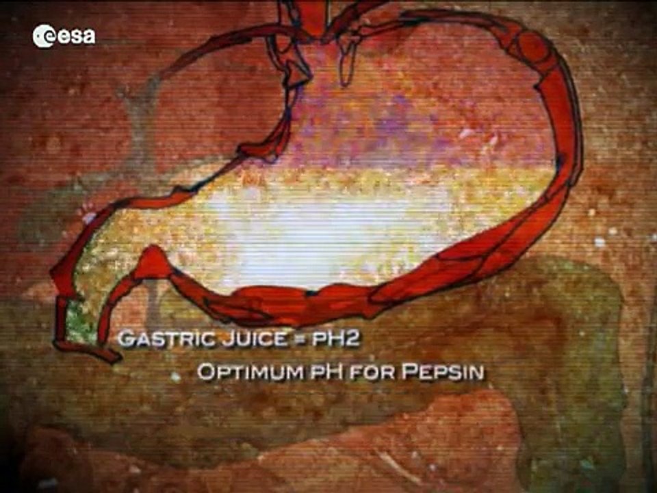 Feeding our future - nutrition on Earth and in...