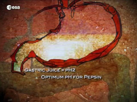 Feeding our future - nutrition on Earth and in space (Español)