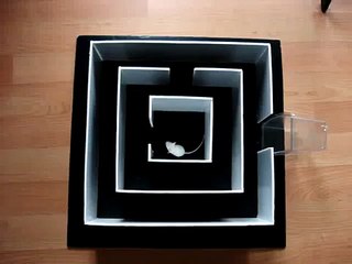 Mouse Experiment in Maze - Test Labyrinthe Souris Normale
