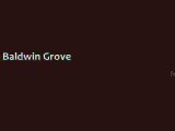 Baldwin Grove Reston, Virgina 20194 Robert Chevez & Company