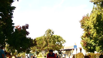 Grizzly Bear- Two weeks