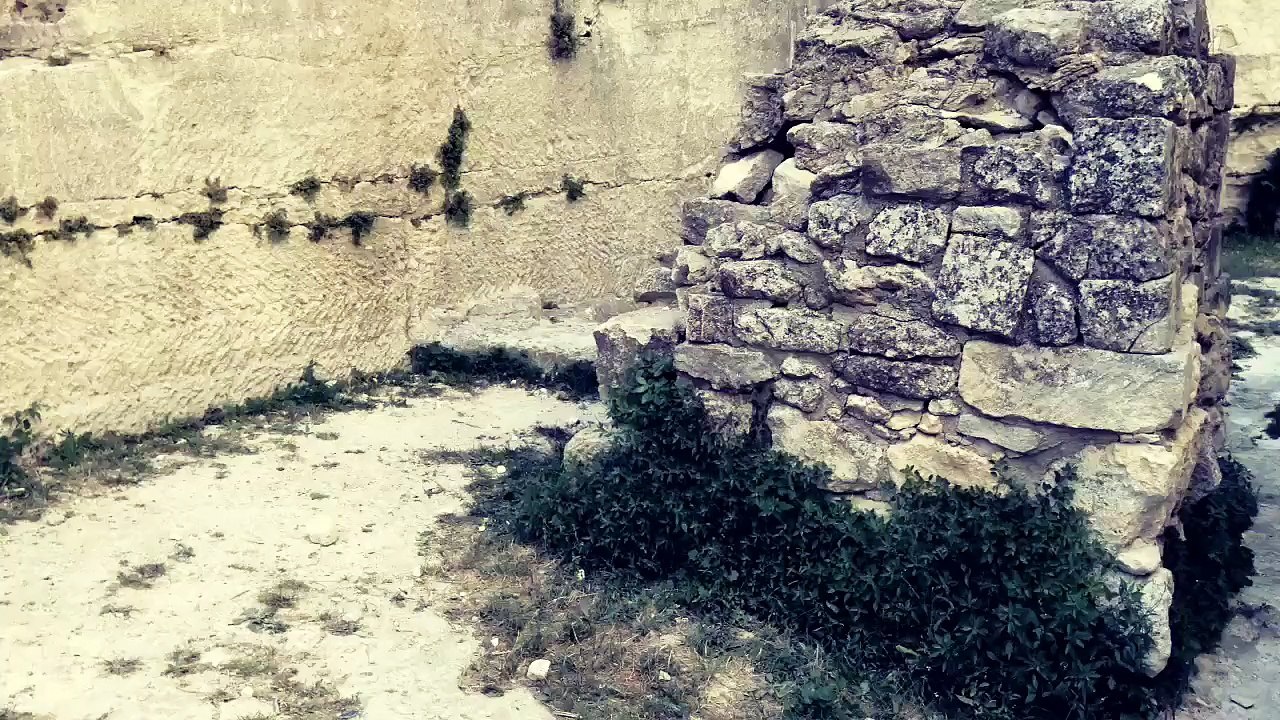 Tiger attack
