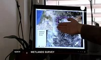 ESA Euronews: Satélites na defesa dos pântanos