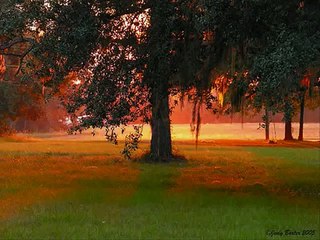 I Wish I Was In Dixie