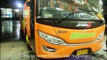 Lampu Strobo & Klakson Telolet Bus Efisiensi