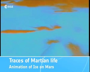 Traces of Martian life: Ice on Mars