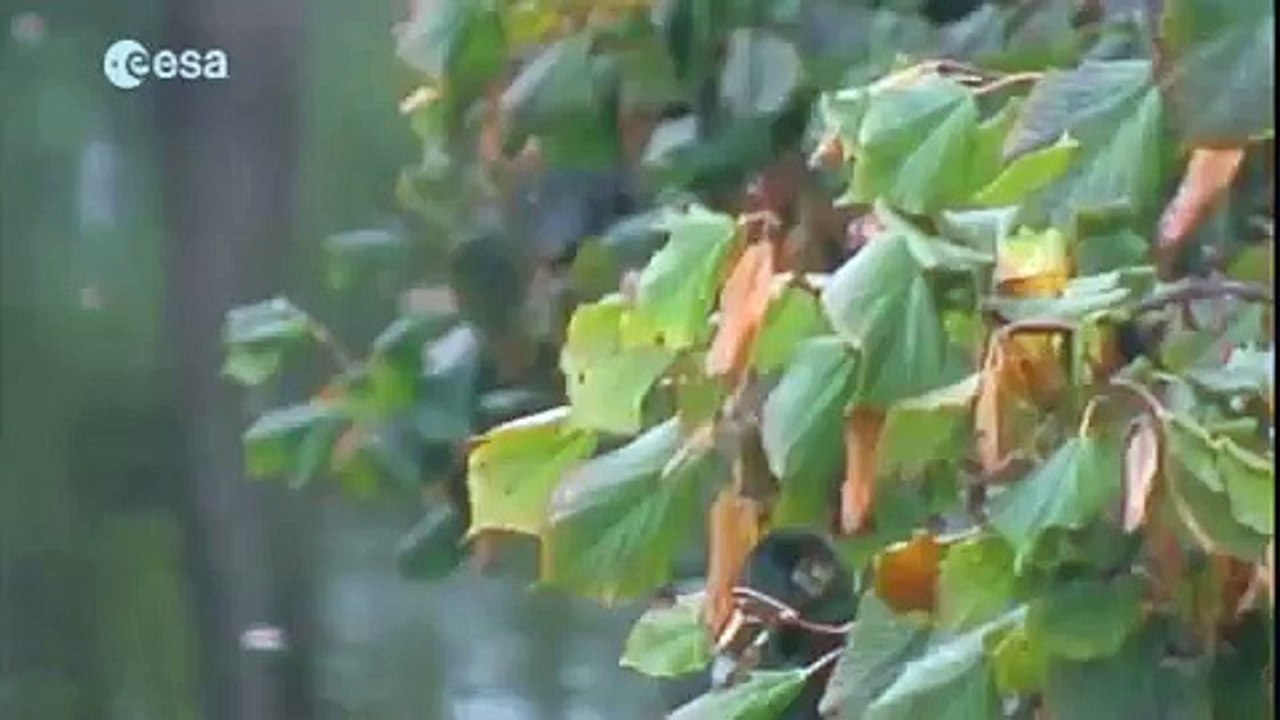 Demonstrating the Earth's water cycle