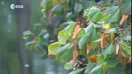 Demonstrating the Earth's water cycle