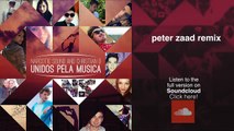 Narcotic Sound and Christian D - Unidos pela Musica ( Peter Zaad Remix )