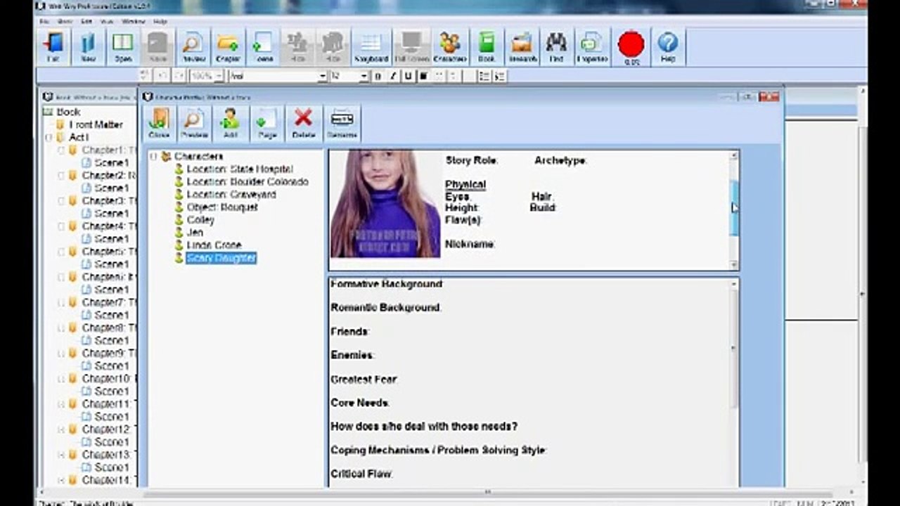 WriteWay Pro Review by Robert P