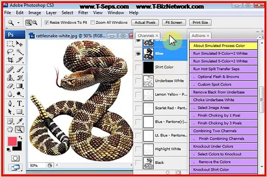 T-Seps 5-Color Simulated Process Color Sample Separations