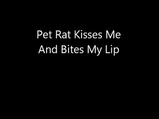 My Pet Rat Kisses Me And Bites My Lip...